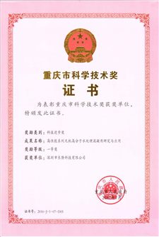 重庆市科学技术奖证书—科技进步一等奖